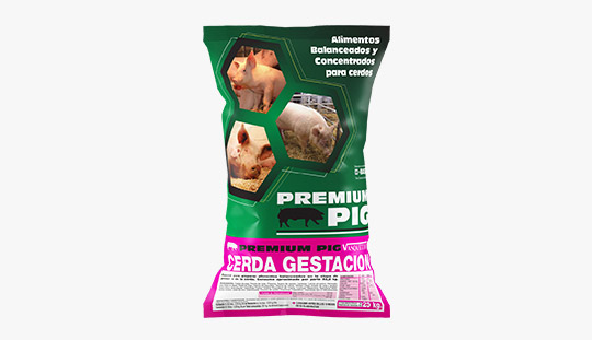 Cerdos Premium - Vasquetto Nutrición Animal