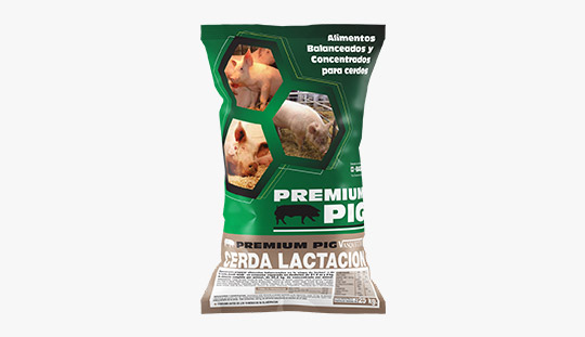 Cerdos Premium - Vasquetto Nutrición Animal