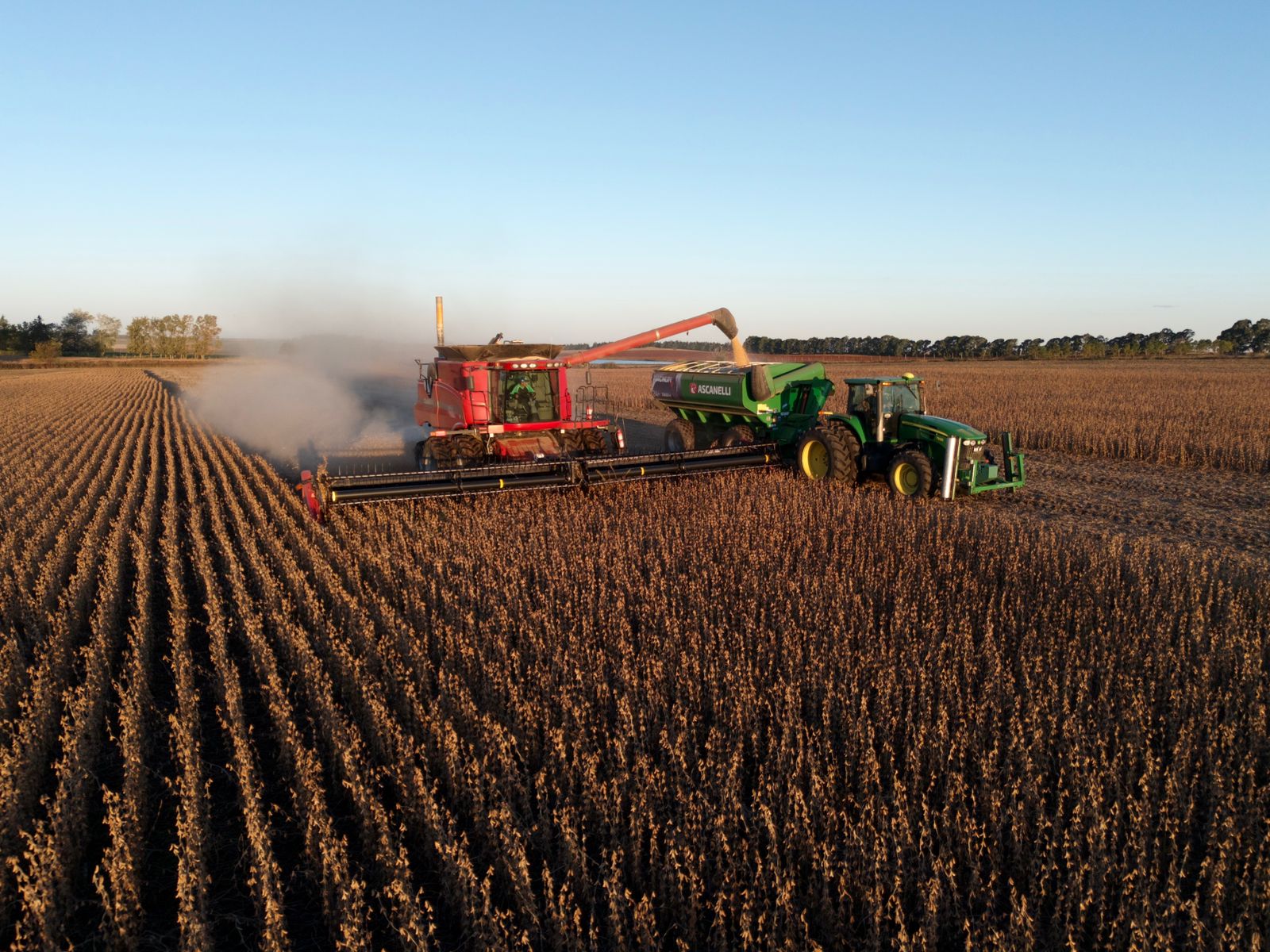 Materias Primas Vasquetto