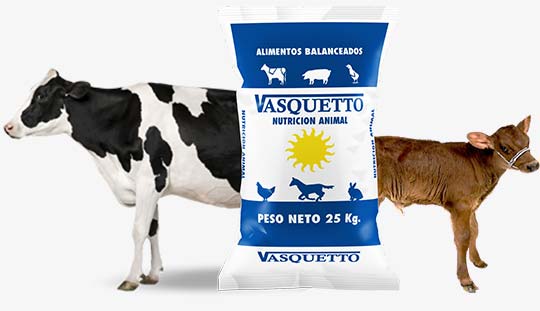 bovinos – Vasquetto Nutrición Animal – Río Cuarto