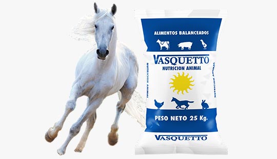 Equinos – Vasquetto Nutrición Animal – Río Cuarto