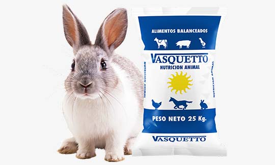 Conejos – Vasquetto Nutrición Animal – Río Cuarto