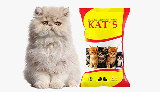 Gatos – Vasquetto Nutrición Animal